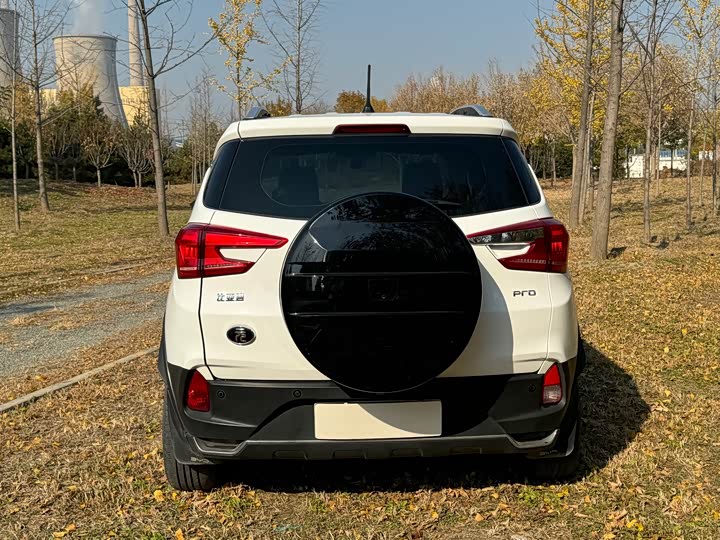 BYD Yuan Pro 2021 2021款 401KM 豪华型