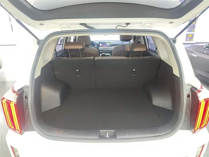 Kia Sportage GT-line 2021 2021款 Ace 2.0L 精彩版