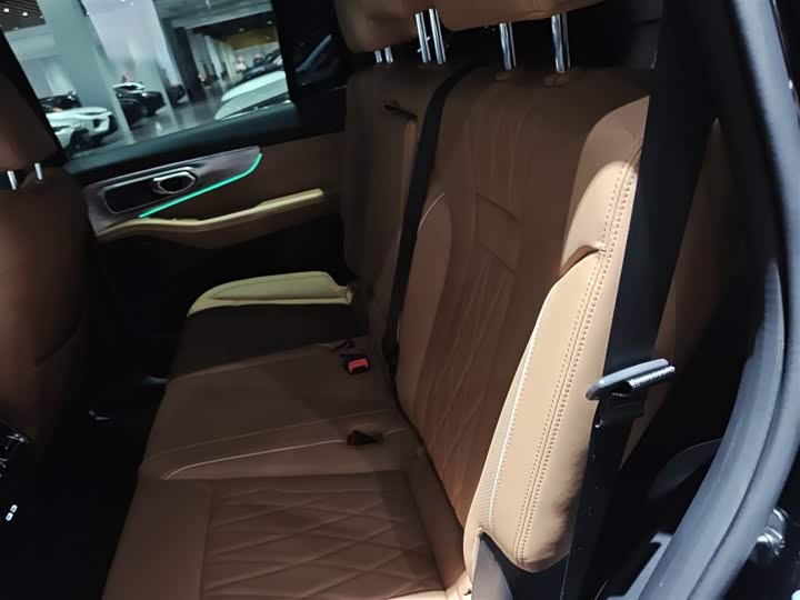 GAC Trumpchi GS8 2025 2025款 领航系列 2.0TGDI 两驱豪华版 5座