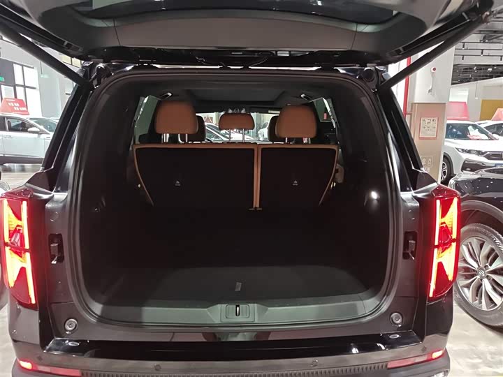 GAC Trumpchi GS8 2025 2025款 领航系列 2.0TGDI 两驱豪华版 5座