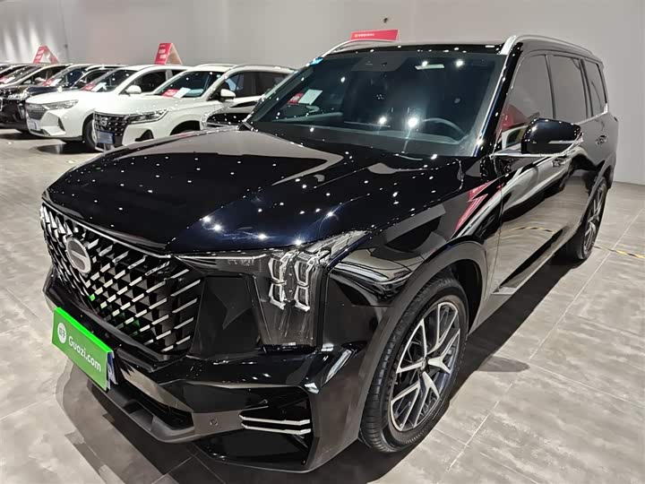 GAC Trumpchi GS8 2025 2025款 领航系列 2.0TGDI 两驱豪华版 5座