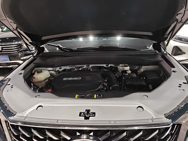 GAC Trumpchi GS8 2025 2025款 领航系列 2.0TGDI 两驱豪华版 5座