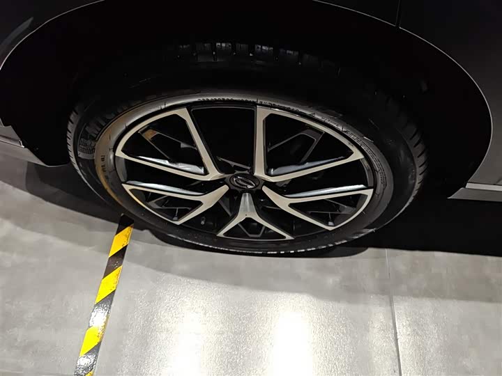 GAC Trumpchi GS8 2025 2025款 领航系列 2.0TGDI 两驱豪华版 5座