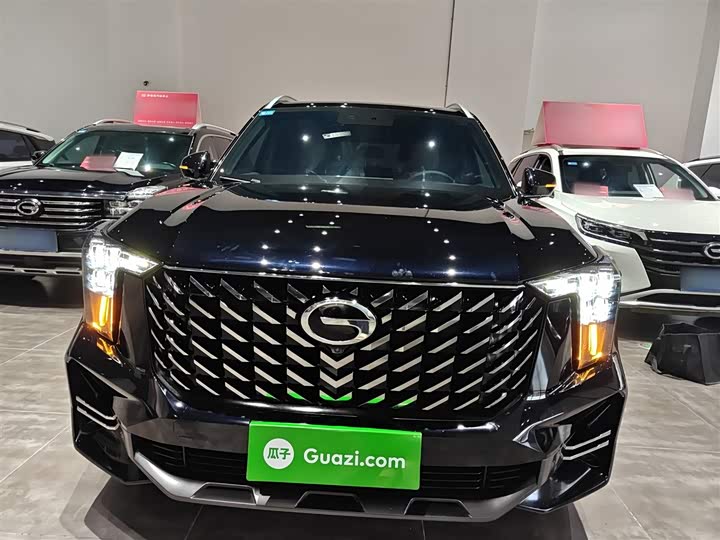 GAC Trumpchi GS8 2025 2025款 领航系列 2.0TGDI 两驱豪华版 5座