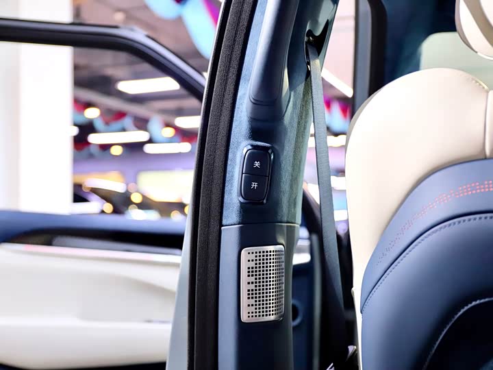 Zeekr 009 2024 2024款 六座行政版四驱 108kWh