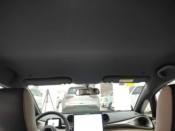 BYD Dolphin 2025 2025款 420km 自由版