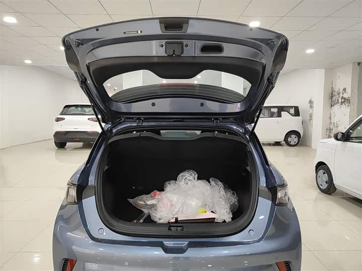 BYD Dolphin 2025 2025款 420km 自由版