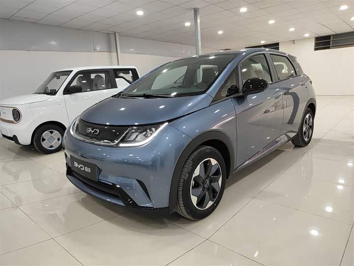 BYD Dolphin 2025 2025款 420km 自由版