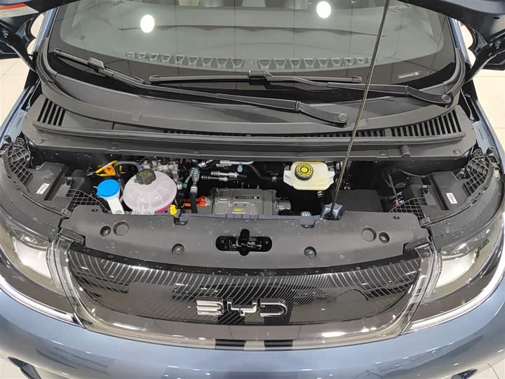 BYD Dolphin 2025 2025款 420km 自由版