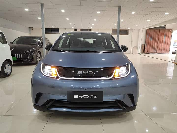 BYD Dolphin 2025 2025款 420km 自由版