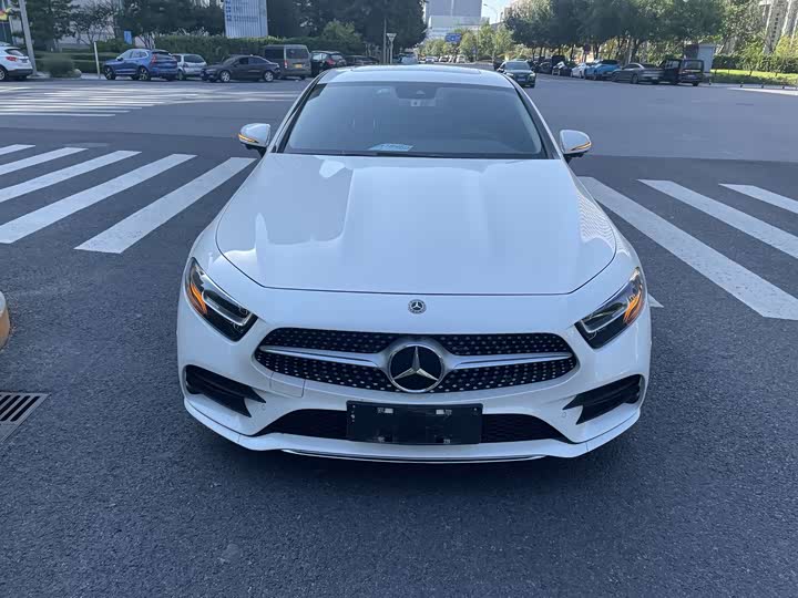 Mercedes-Benz CLS-Class 2023 2023款 改款 CLS 300 动感型