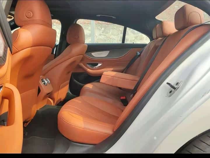 Mercedes-Benz CLS-Class 2023 2023款 改款 CLS 300 动感型