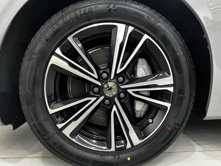 Hongqi EH7 2024 2024款 820 Pro