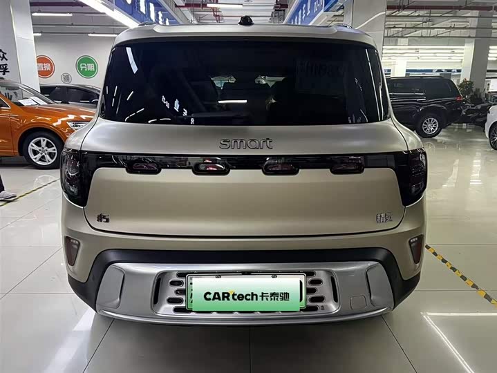 Smart #5 2024 2024款 长续航奇旅 豪华版