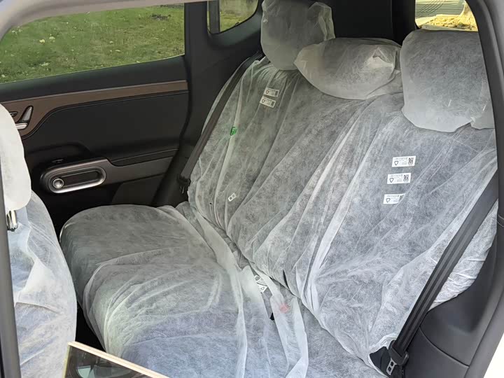 Smart #5 2024 2024款 长续航奇旅 豪华版