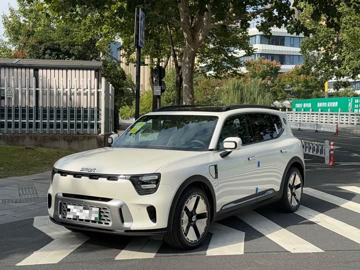 Smart #5 2024 2024款 长续航奇旅 豪华版