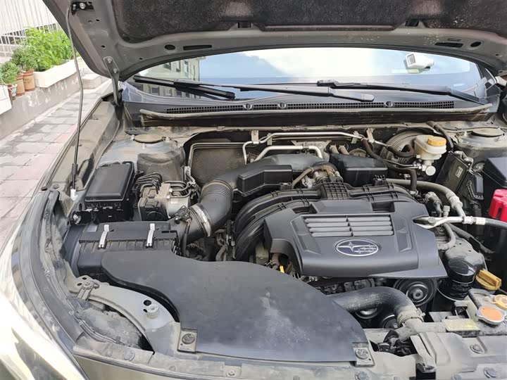 Subaru Outback 2021 2021款 2.5i 探享版 EyeSight