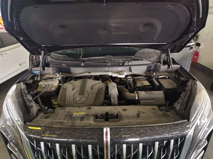 Hongqi HS3 2024 2024款 1.5T 善为版