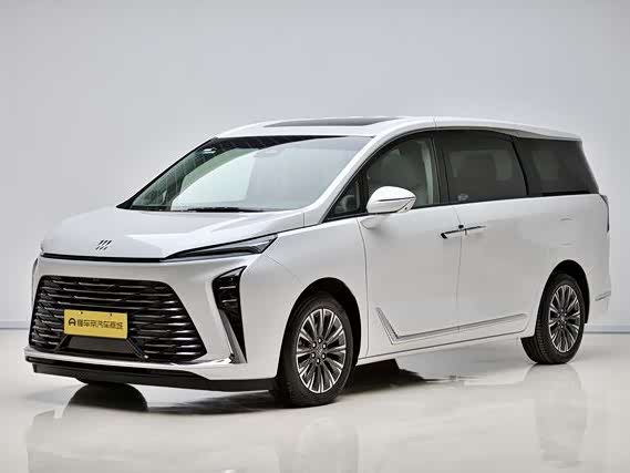 Buick GL8 ES 2025 2025款 陆尊 尊享版