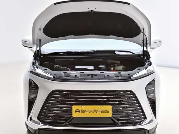 Buick GL8 ES 2025 2025款 陆尊 尊享版