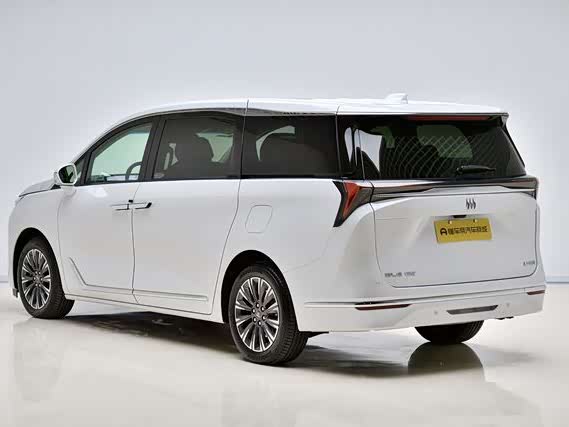 Buick GL8 ES 2025 2025款 陆尊 尊享版