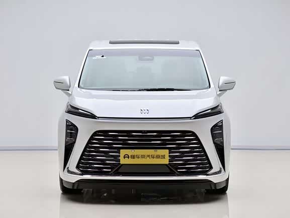 Buick GL8 ES 2025 2025款 陆尊 尊享版