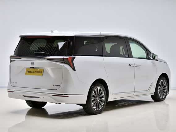 Buick GL8 ES 2025 2025款 陆尊 尊享版