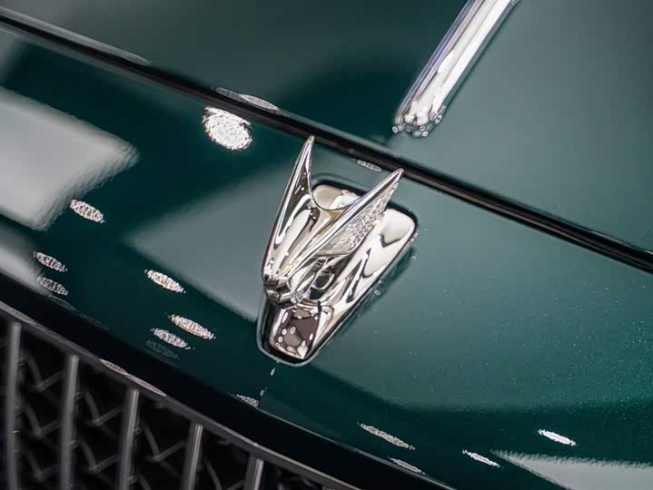 Bentley Flying Spur 2023 2023款 4.0T V8 雅度版