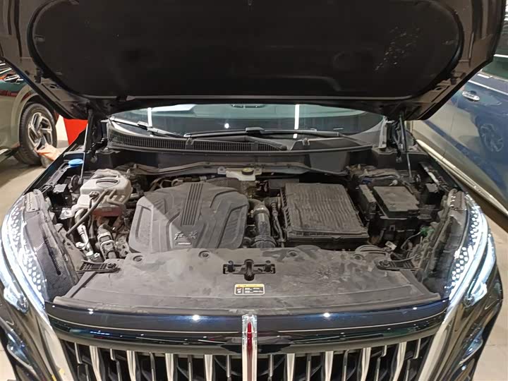 Hongqi HS3 Hybrid 2024 2024款 115km 劲为版