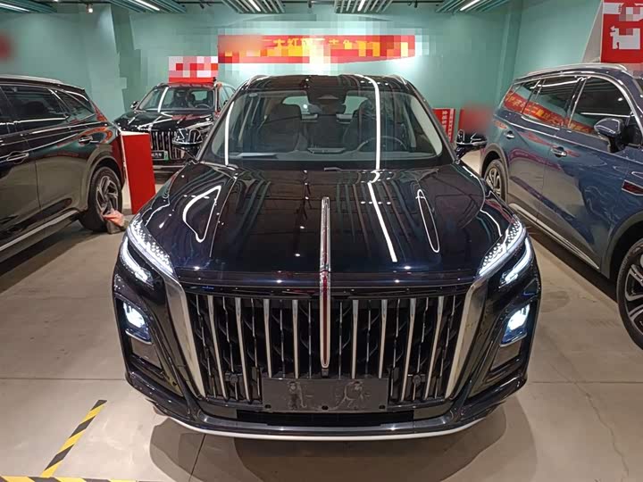 Hongqi HS3 Hybrid 2024 2024款 115km 劲为版