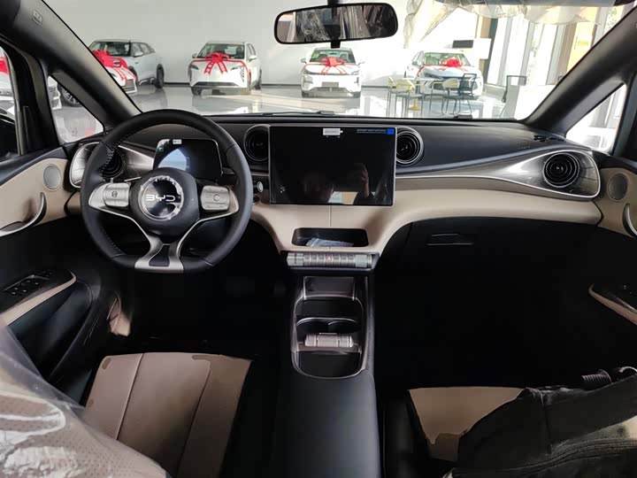 BYD Dolphin 2025 2025款 420km 自由版