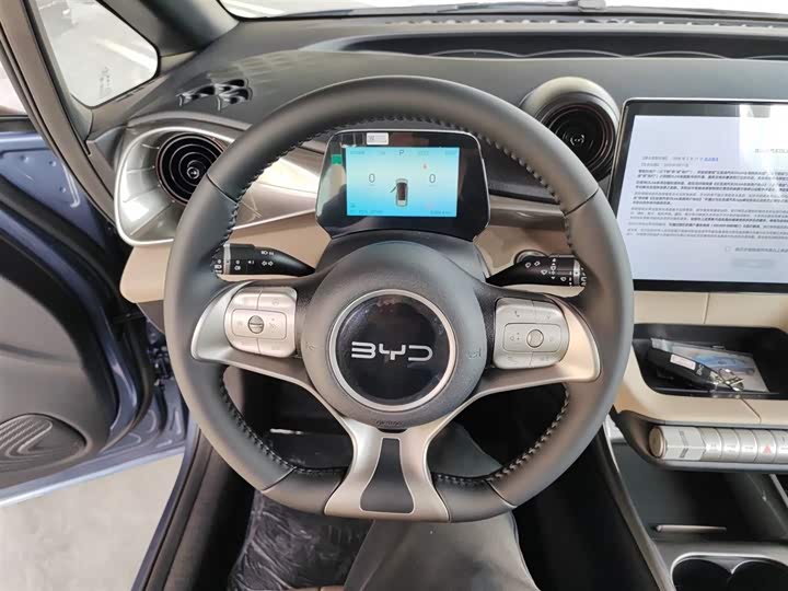 BYD Dolphin 2025 2025款 420km 自由版