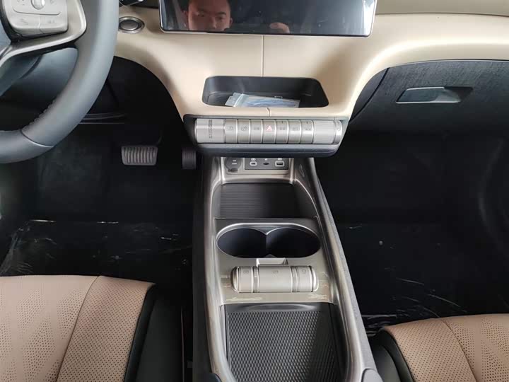 BYD Dolphin 2025 2025款 420km 自由版