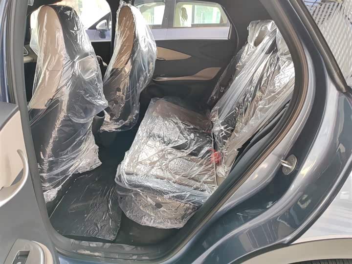 BYD Dolphin 2025 2025款 420km 自由版