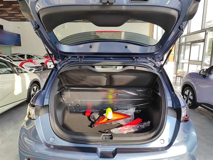 BYD Dolphin 2025 2025款 420km 自由版