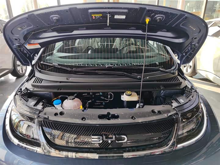 BYD Dolphin 2025 2025款 420km 自由版