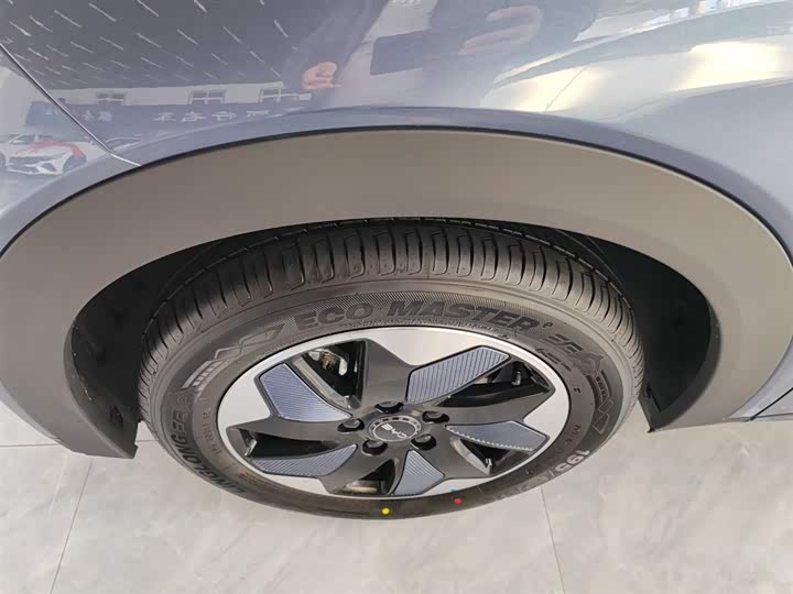 BYD Dolphin 2025 2025款 420km 自由版