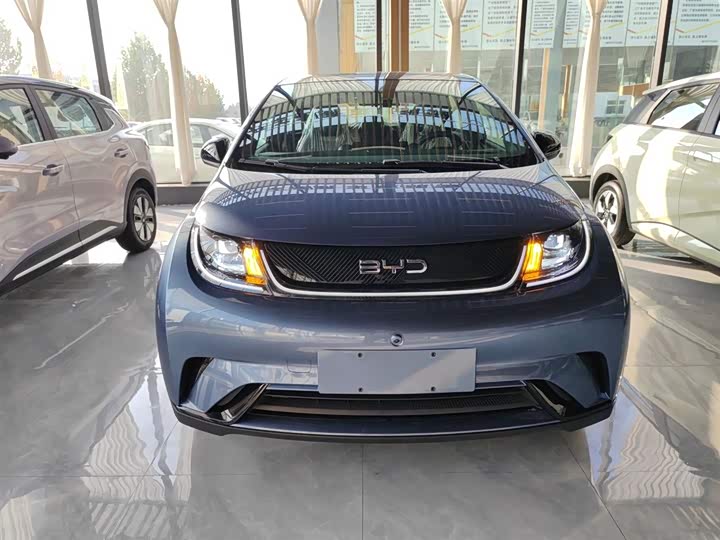 BYD Dolphin 2025 2025款 420km 自由版