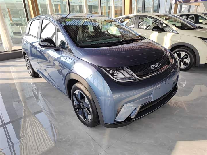 BYD Dolphin 2025 2025款 420km 自由版