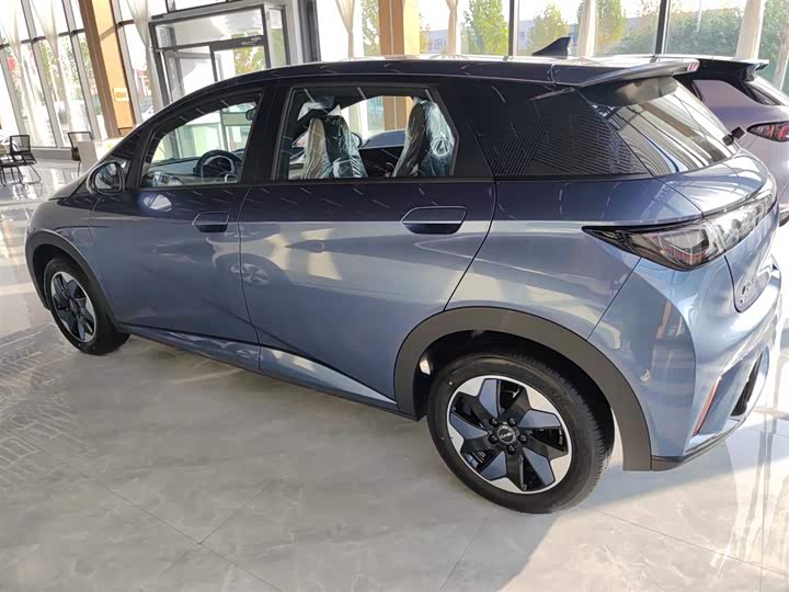 BYD Dolphin 2025 2025款 420km 自由版