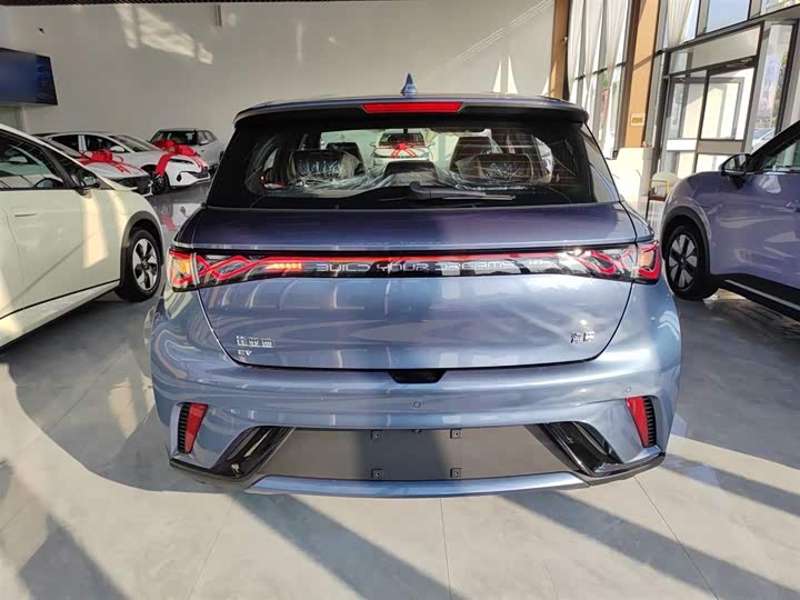 BYD Dolphin 2025 2025款 420km 自由版