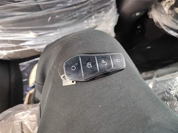 BYD Dolphin 2025 2025款 420km 自由版