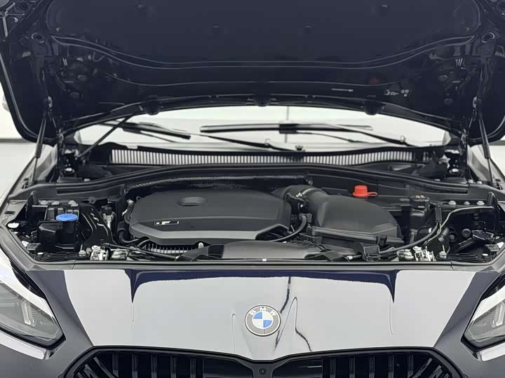 BMW 2 Series 2025 2025款 225L M运动曜夜套装