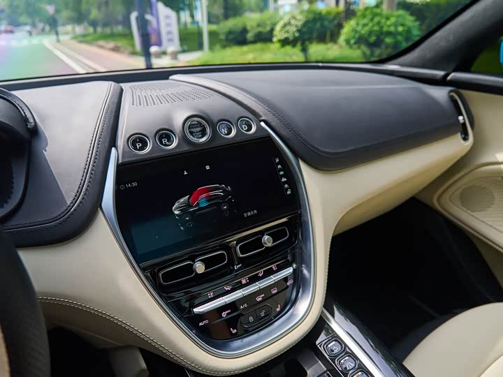 Aston Martin DBX 2022 2022款 3.0T STRAIGHT-SIX