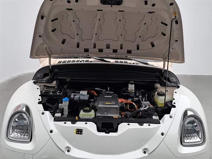 Ora Ballet Cat 2022 2022款 401km 胡桃夹子版