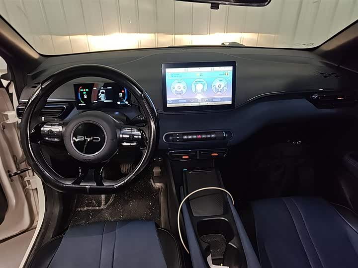 BYD Seagull 2025 2025款 305km 活力版