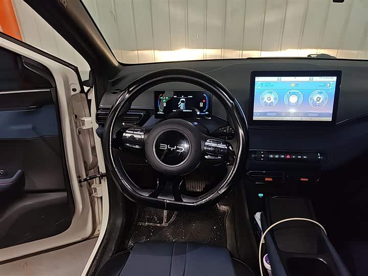 BYD Seagull 2025 2025款 305km 活力版