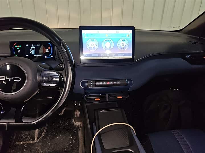 BYD Seagull 2025 2025款 305km 活力版