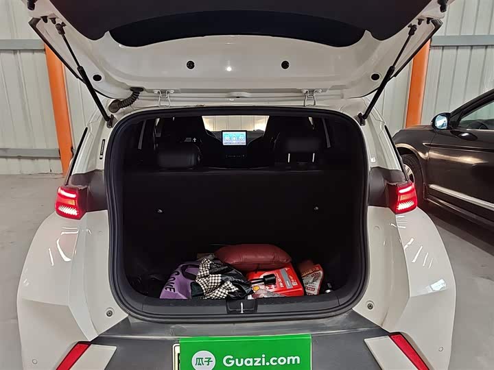 BYD Seagull 2025 2025款 305km 活力版