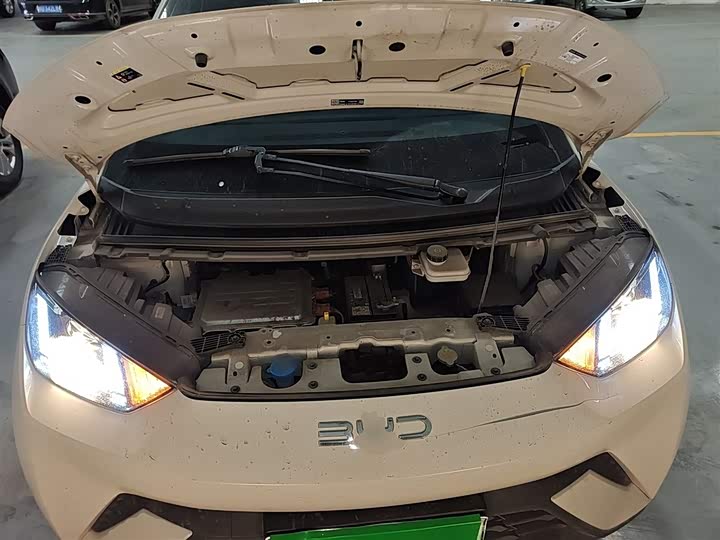 BYD Seagull 2025 2025款 305km 活力版